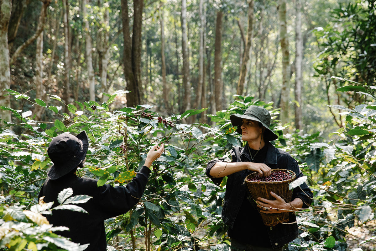 SCA Sustainability Program
