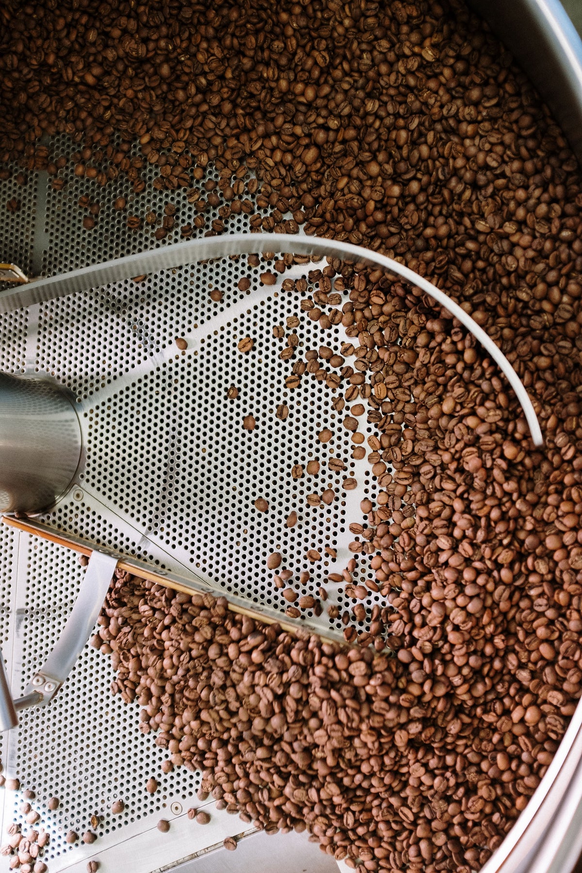 SCA Roastery Diploma training