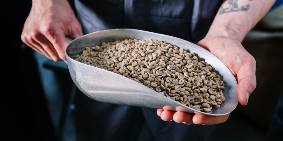 Green Coffee course