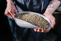 SCA Green Coffee Course
