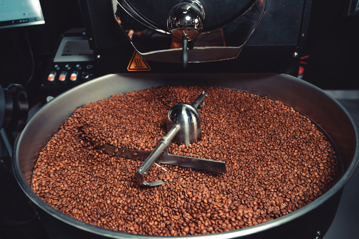 SCA Roasting Course