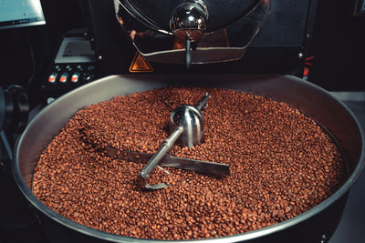 SCA Roasting Course
