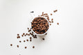 Coffee Economics Course