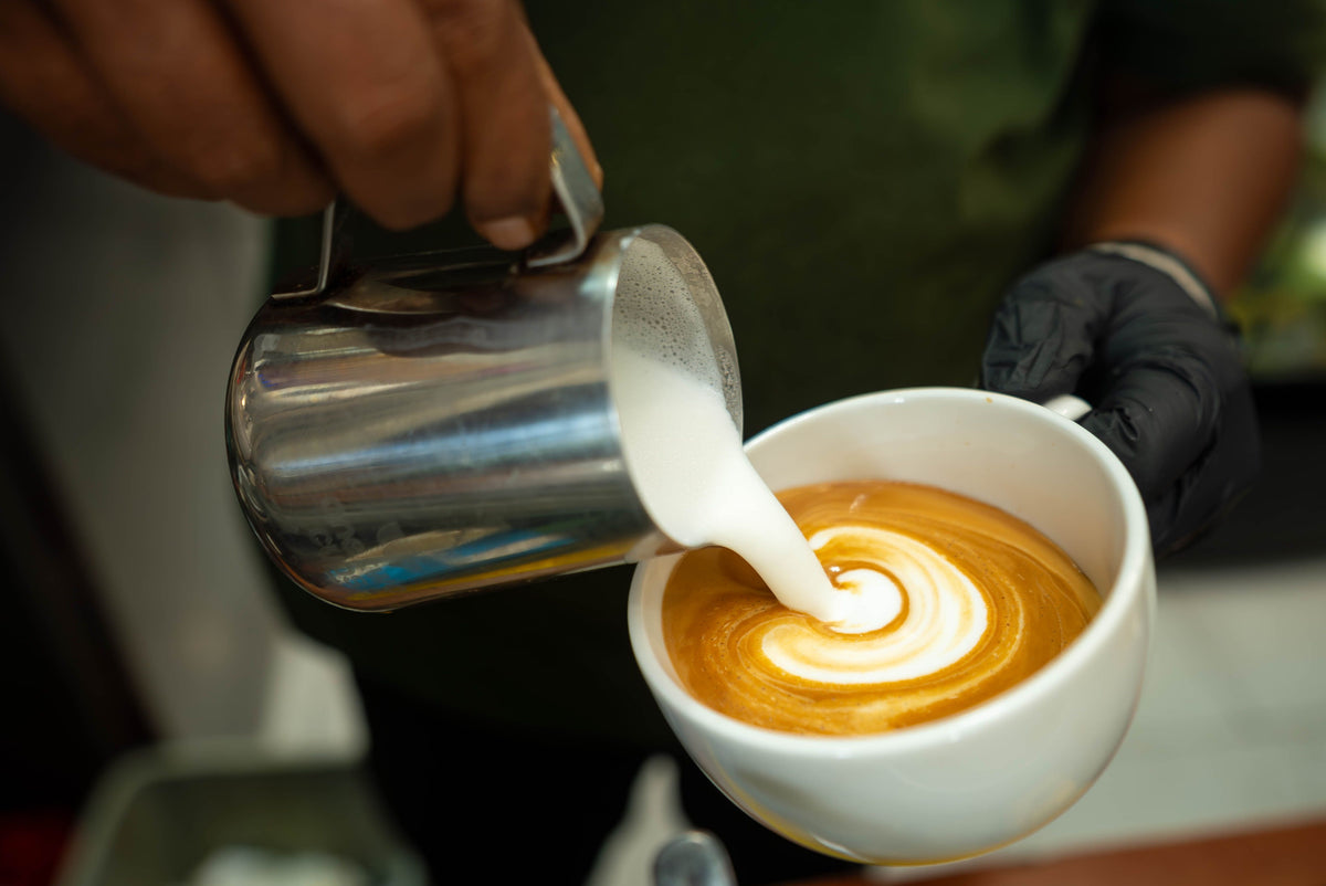 SCA Introduction to Coffee Course
